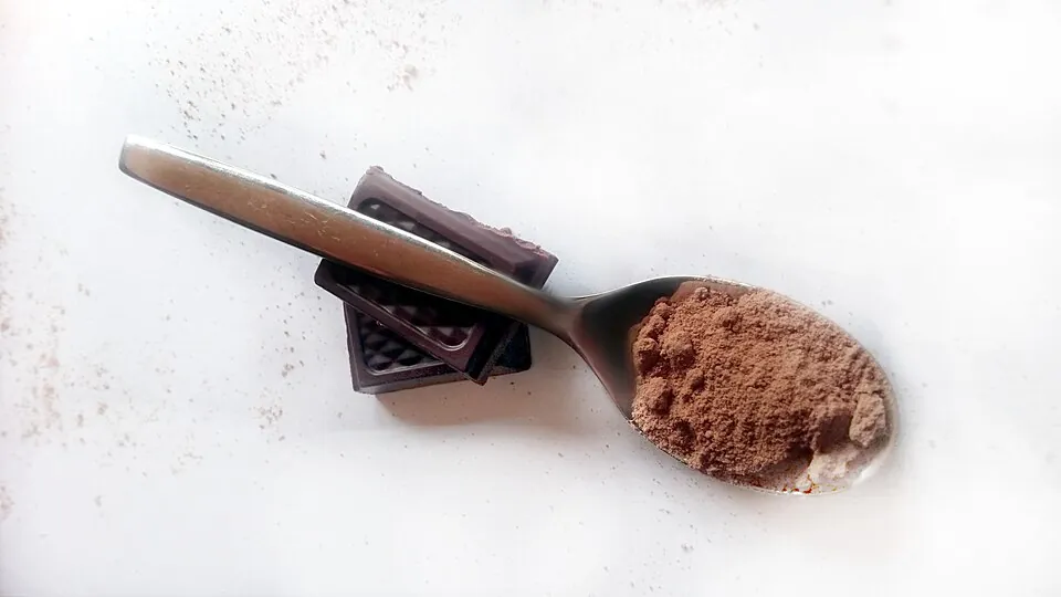 チョコとココアパウダー